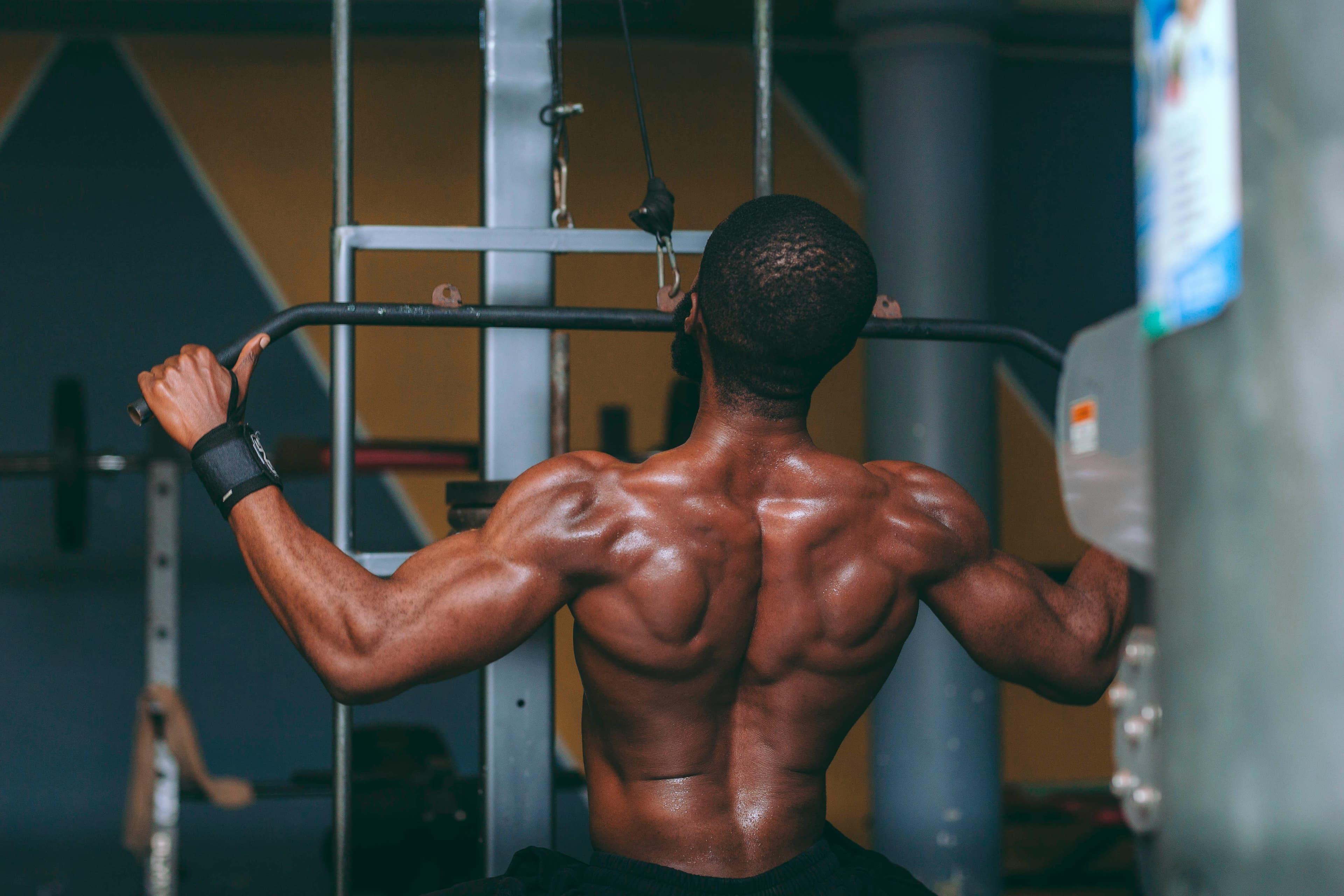 Body Composition Guide 2026 : How to Measure, Calculate & Improve